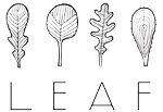 Leaf - UpTown
